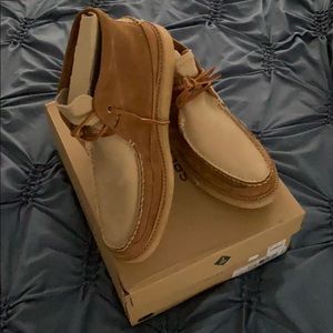 Sperry Tan Chukka Shoes